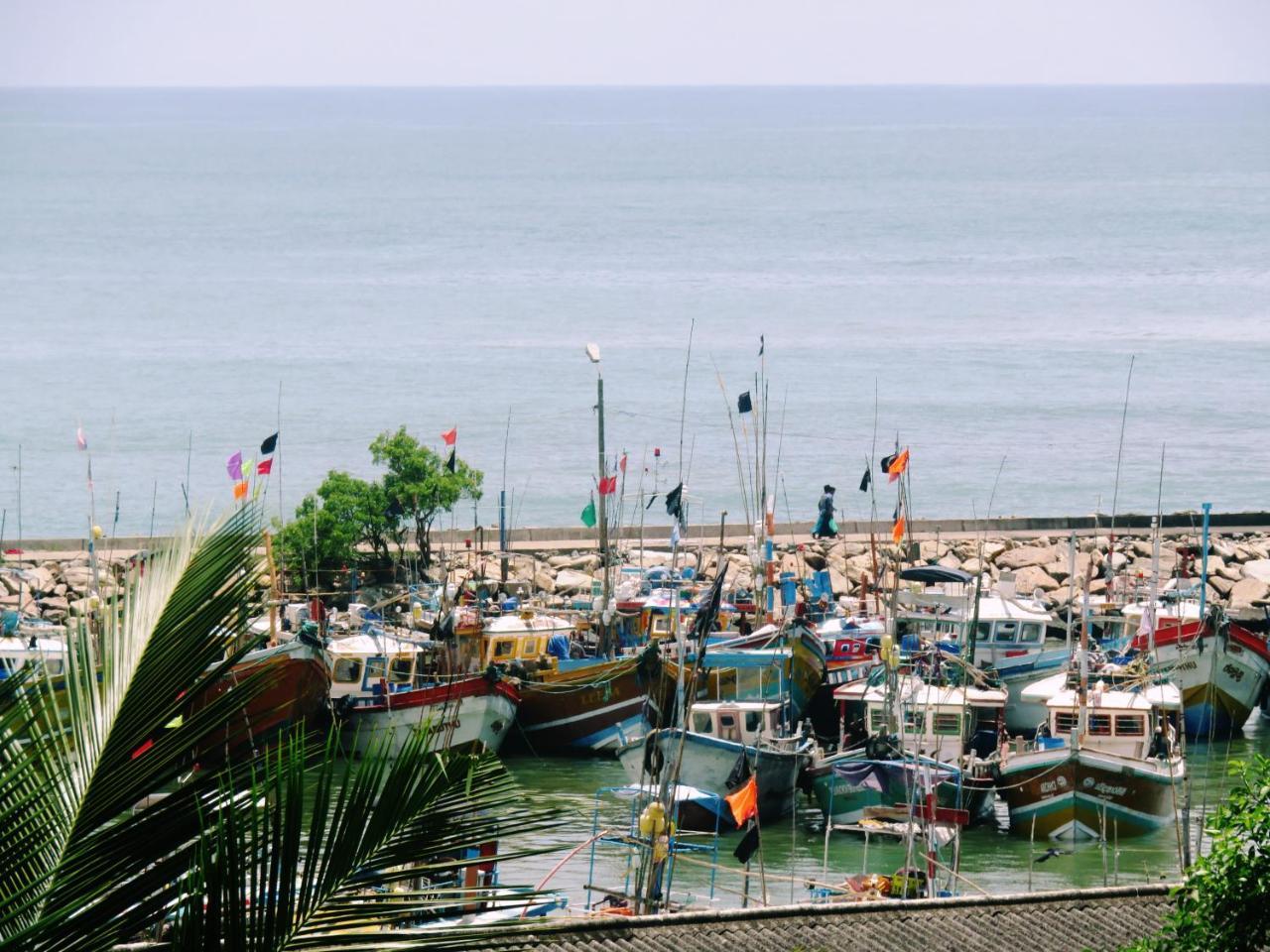 Sea Avenue - Eco Garden Tangalle Exterior foto