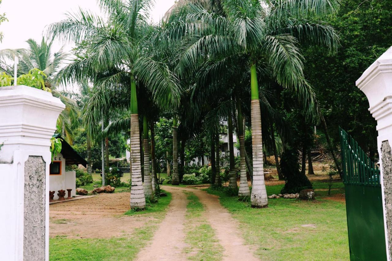 Sea Avenue - Eco Garden Tangalle Exterior foto