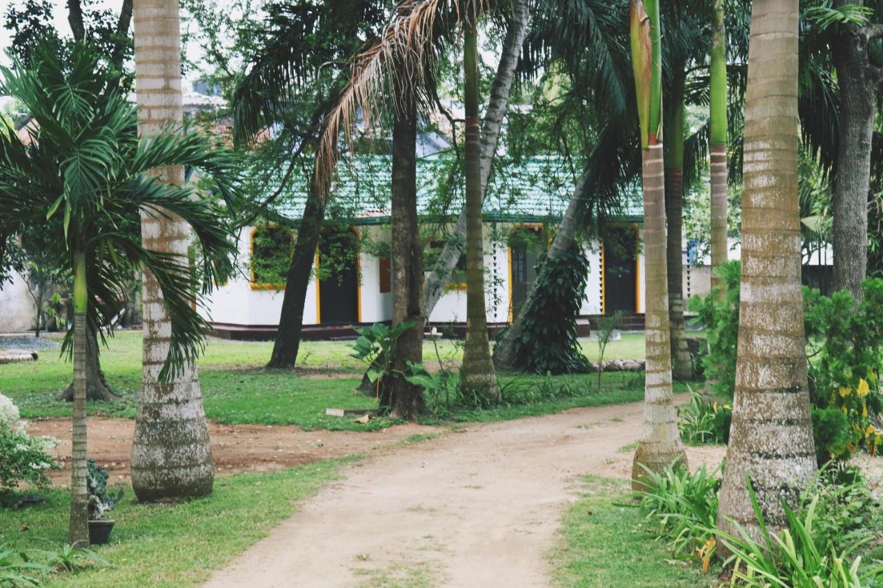 Sea Avenue - Eco Garden Tangalle Exterior foto