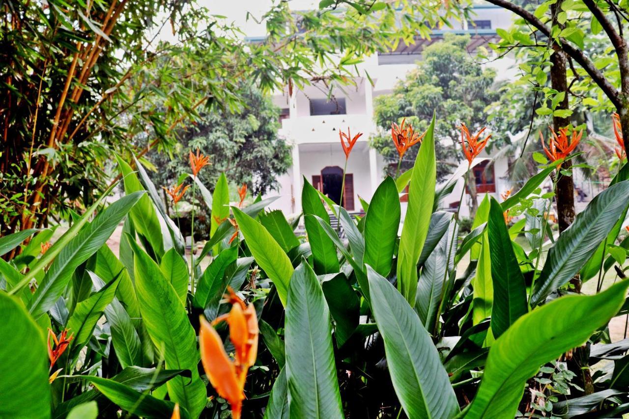 Sea Avenue - Eco Garden Tangalle Exterior foto