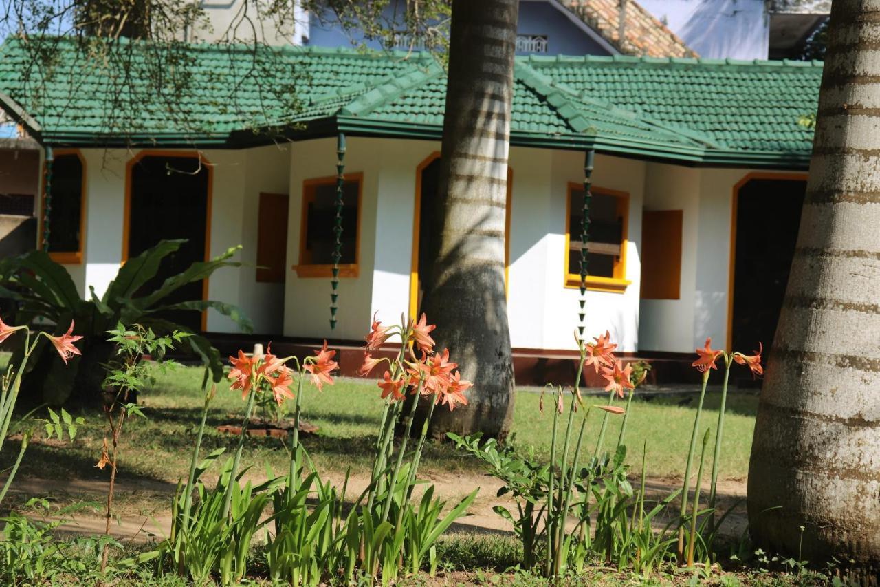 Sea Avenue - Eco Garden Tangalle Exterior foto